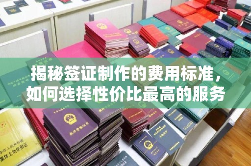 凯里揭秘签证制作的费用标准，如何选择性价比最高的服务？