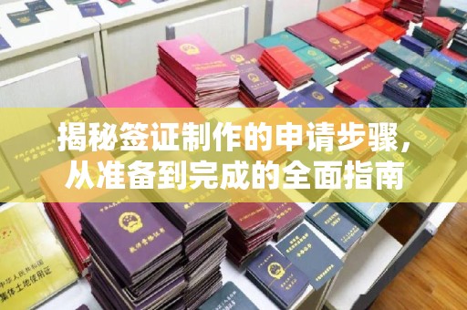 凯里揭秘签证制作的申请步骤，从准备到完成的全面指南